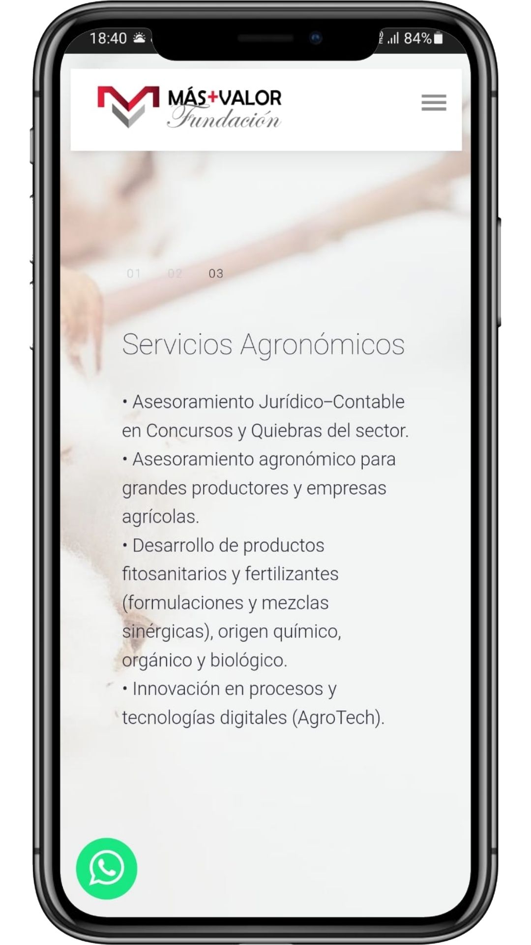  Fundación Más Valor 